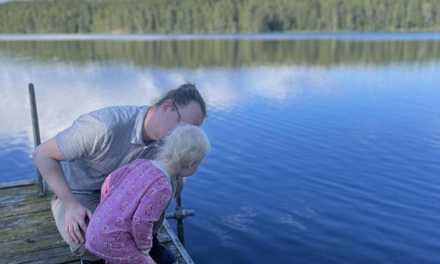 Konsten att bli hemmablind