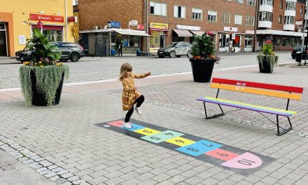 Stadsmiljögruppen: En färgglad rapport för 2024