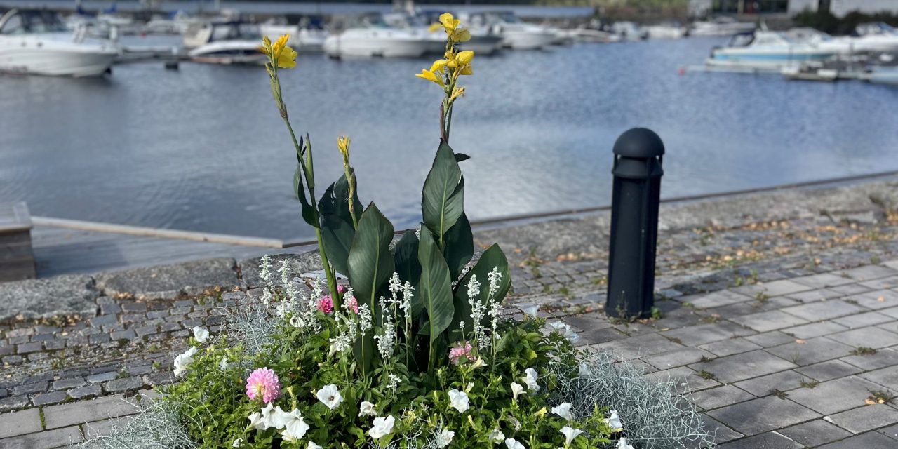 Vad händer vecka 39 – 2025