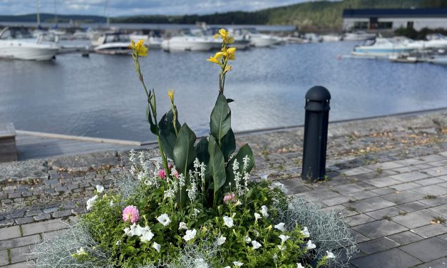 Vad händer vecka 39 – 2025