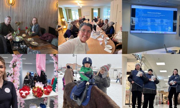 Februari i Unika Ludvika