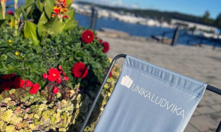 Sommarlov för vår stad?